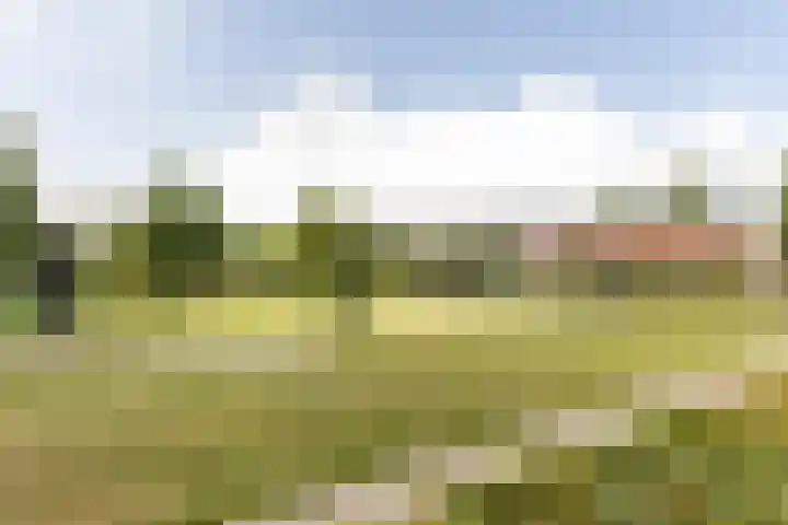 Rouppe van der Voortlaan 15 Vught thumbnail 47