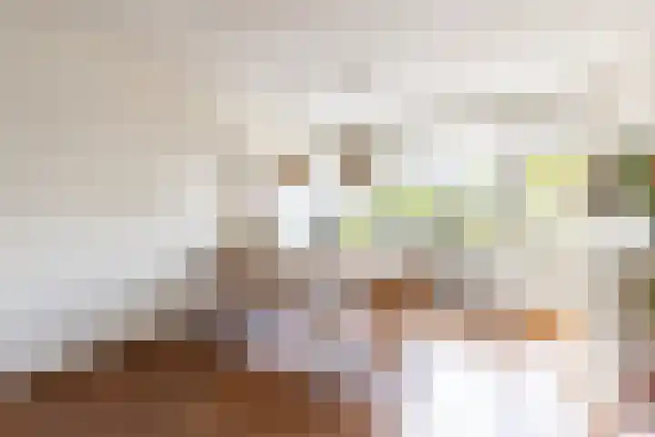 Rouppe van der Voortlaan 15 Vught thumbnail 8
