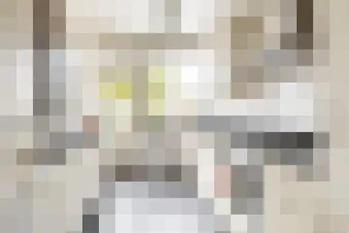 Rouppe van der Voortlaan 15 Vught thumbnail 9