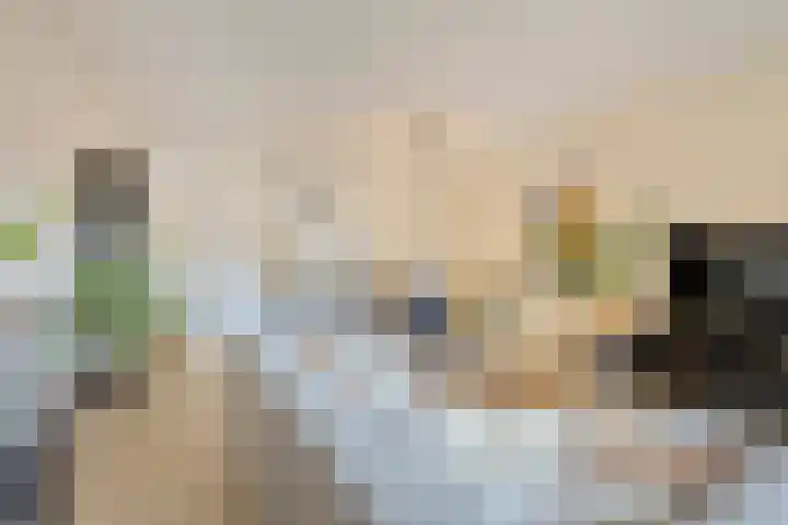 Rouppe van der Voortlaan 40 A Vught thumbnail 13