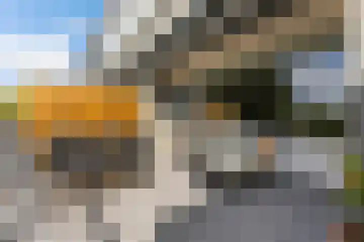 Rouppe van der Voortlaan 40 A Vught thumbnail 17