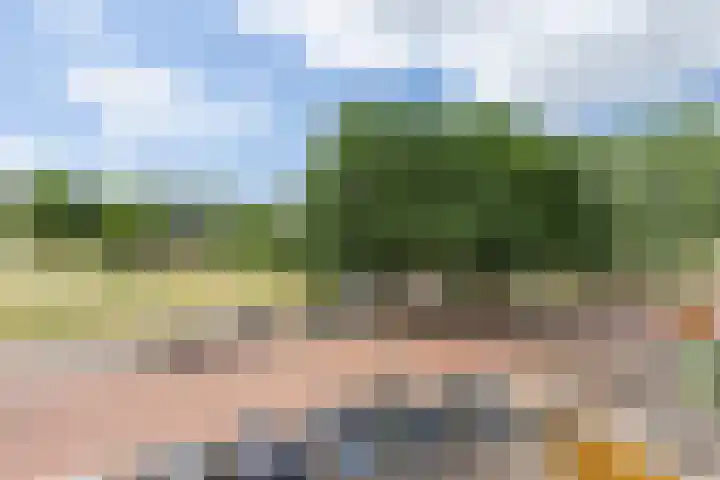 Rouppe van der Voortlaan 40 A Vught thumbnail 18
