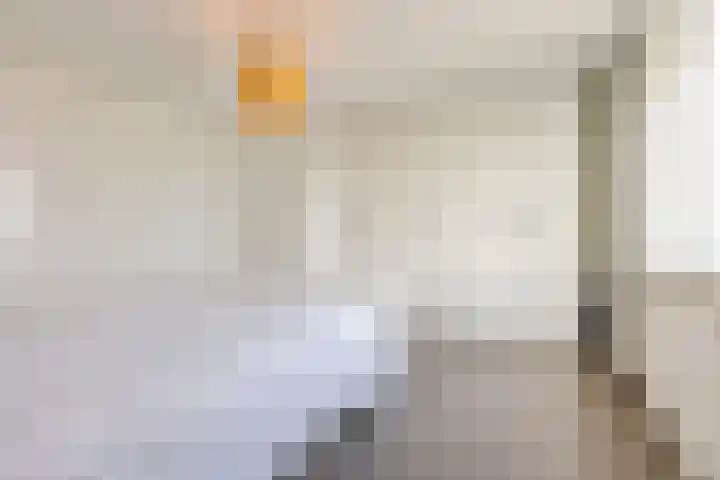 Rouppe van der Voortlaan 40 A Vught thumbnail 25