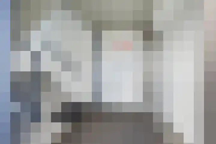 Rouppe van der Voortlaan 40 A Vught thumbnail 9