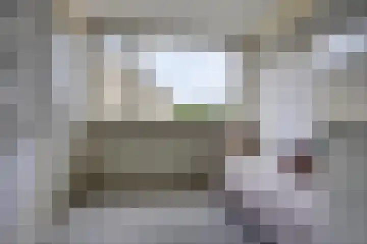 Rouppe van der Voortlaan 76 Vught thumbnail 17