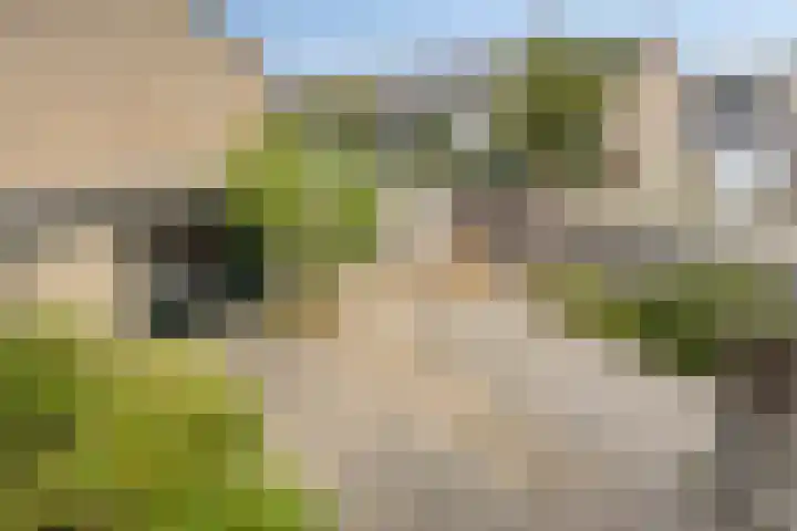 Rouppe van der Voortlaan 76 Vught thumbnail 26
