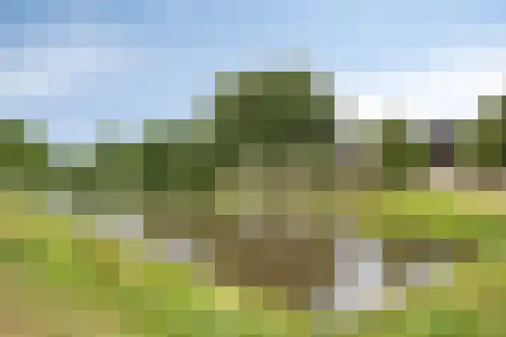 Rouppe van der Voortlaan 76 Vught thumbnail 33