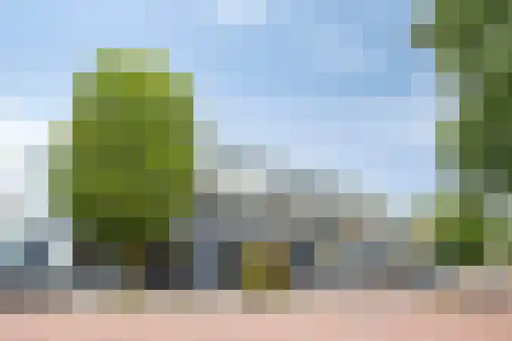 Rouppe van der Voortlaan 76 Vught thumbnail 34
