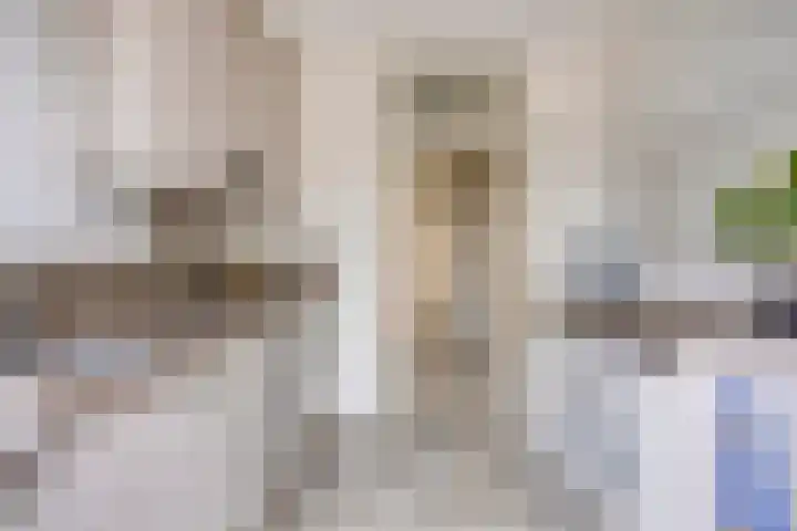 Rouppe van der Voortlaan 76 Vught thumbnail 8