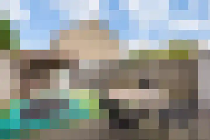 Rouppe van der Voortlaan 78 Vught thumbnail 17