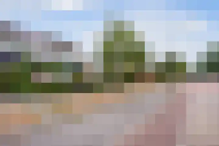 Rouppe van der Voortlaan 78 Vught thumbnail 43
