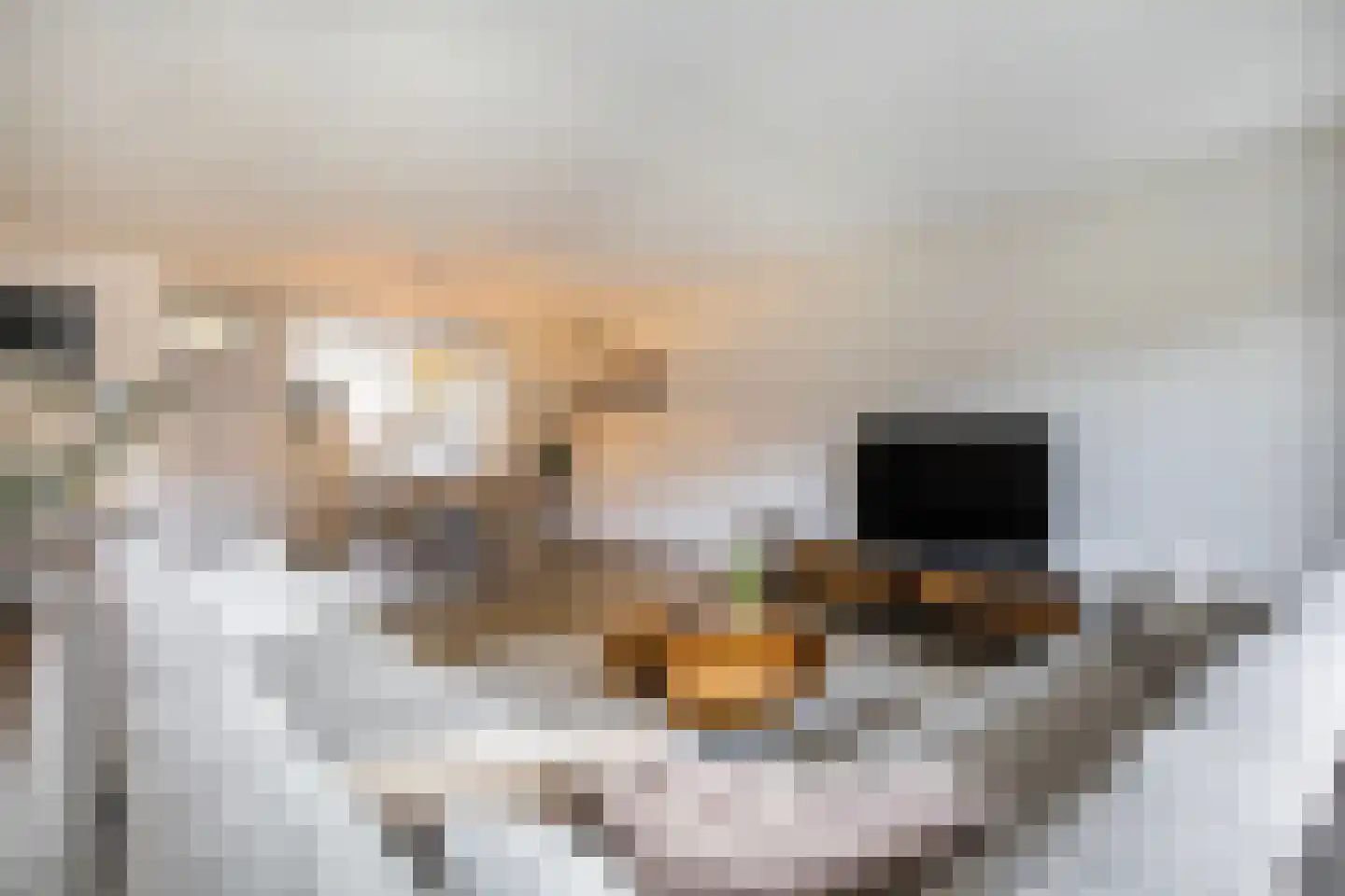 Rousseaustate 20 Ede thumbnail 11
