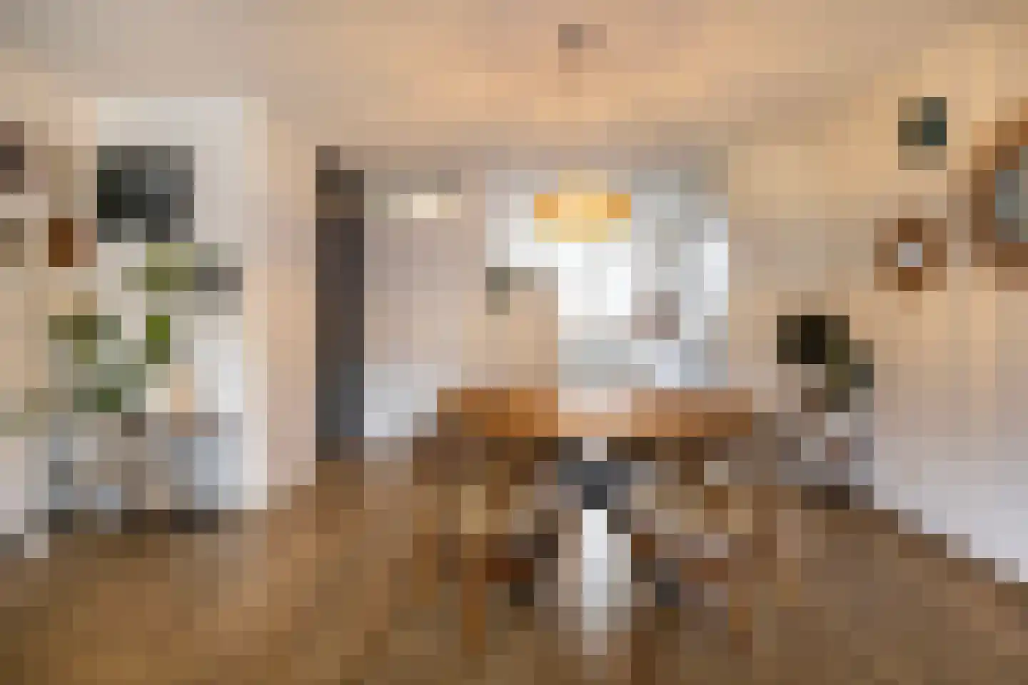 Rousseaustate 20 Ede thumbnail 13