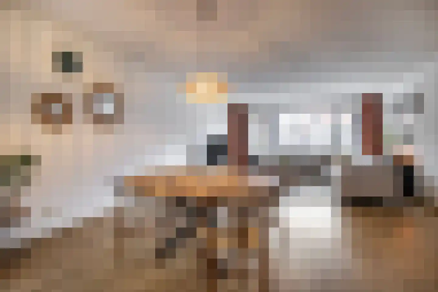 Rousseaustate 20 Ede thumbnail 14