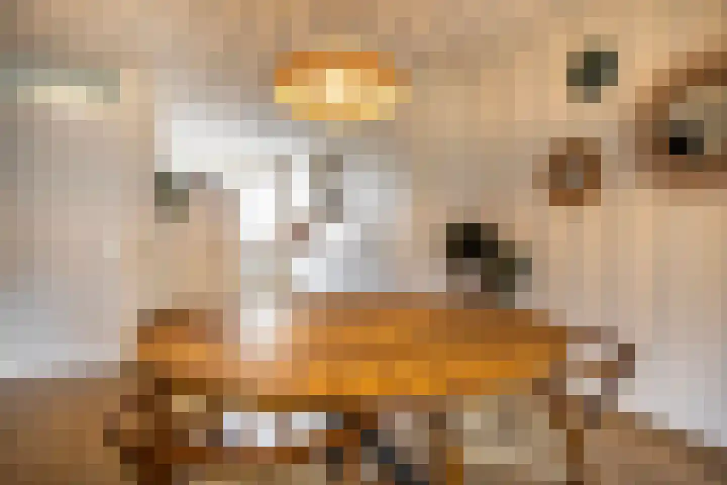 Rousseaustate 20 Ede thumbnail 15