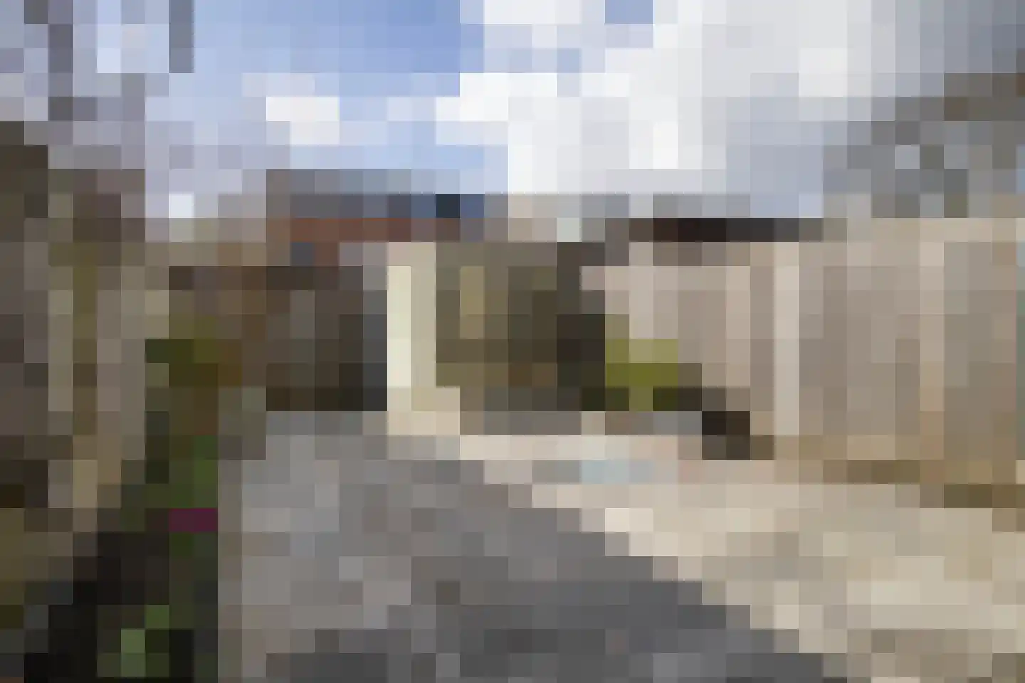 Rousseaustate 20 Ede thumbnail 38