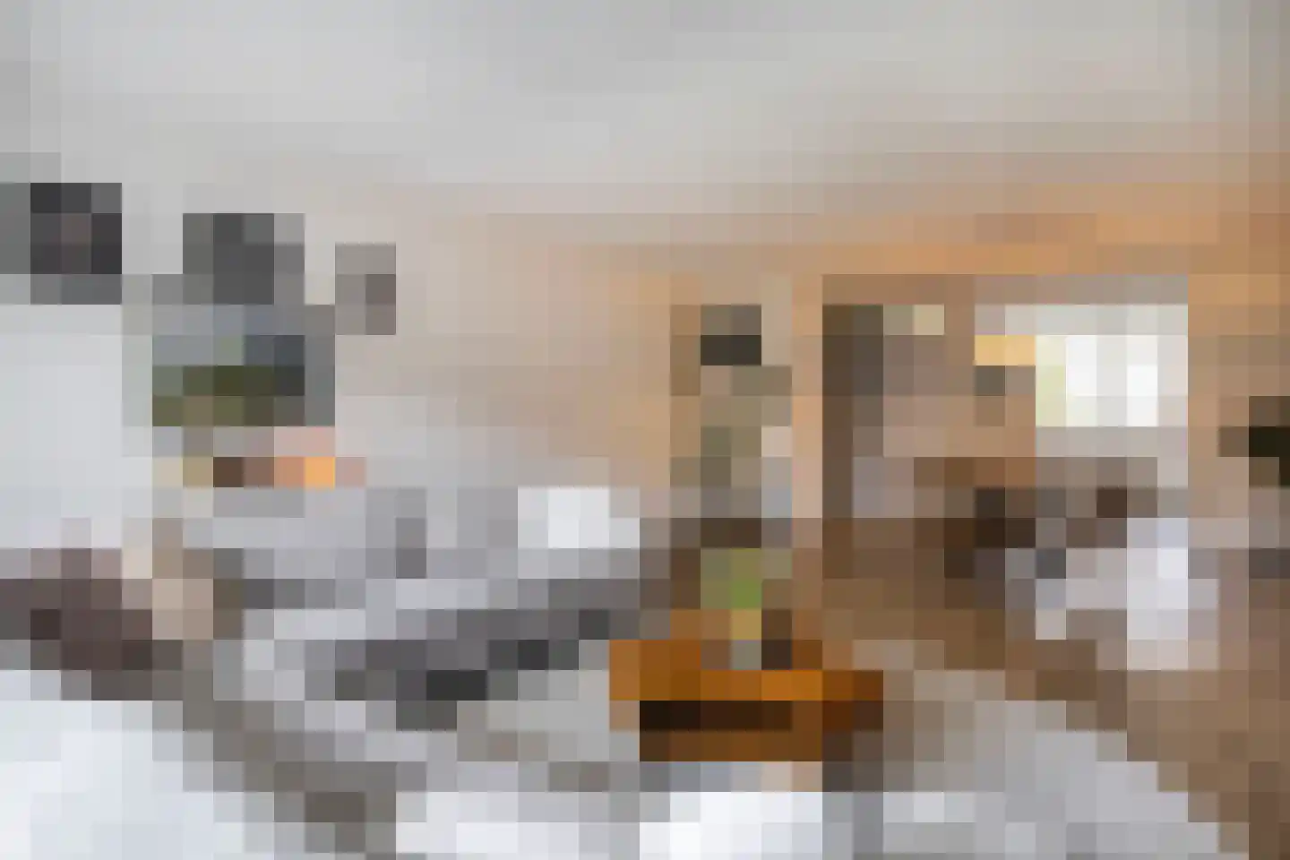 Rousseaustate 20 Ede thumbnail 9
