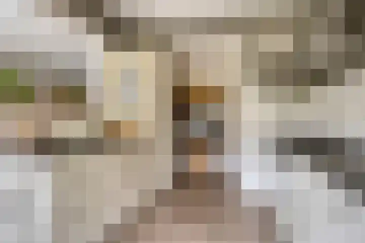 Rousseaustraat 12 Apeldoorn thumbnail 13