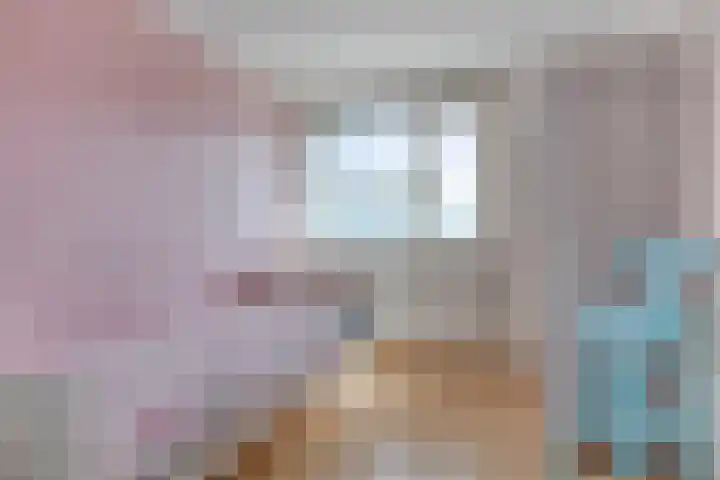 Rousseaustraat 12 Apeldoorn thumbnail 20