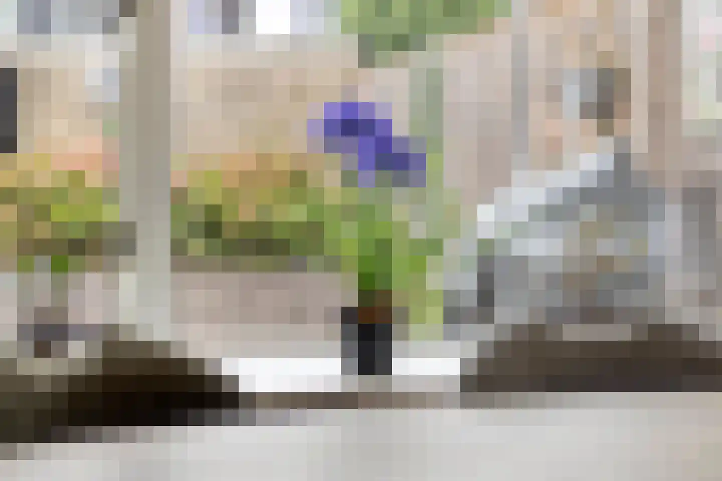Rousseaustraat 4 Apeldoorn thumbnail 13