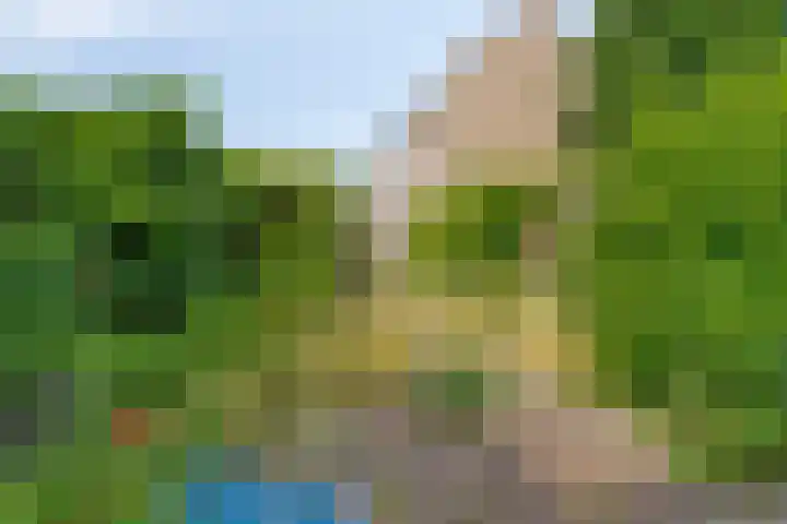 Rousselpad 19 Spijkenisse thumbnail 13