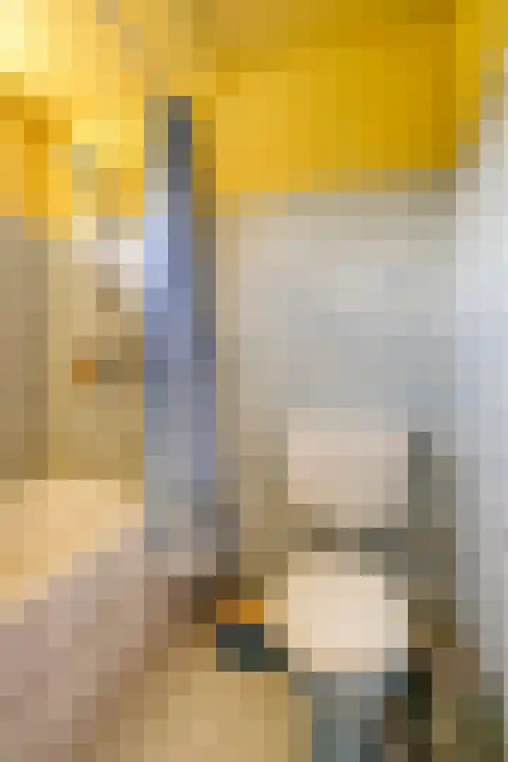 Rousselpad 19 Spijkenisse thumbnail 18