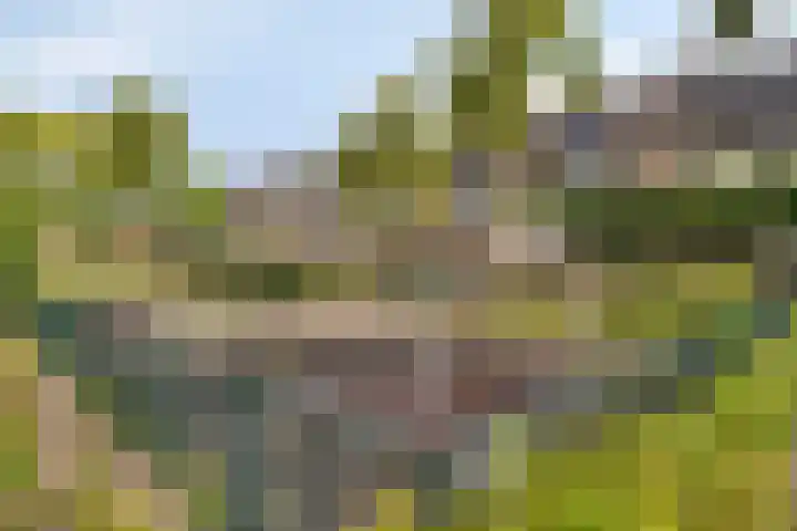Rousselpad 19 Spijkenisse thumbnail 26