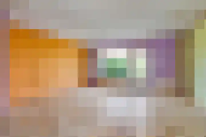 Rousselpad 19 Spijkenisse thumbnail 4