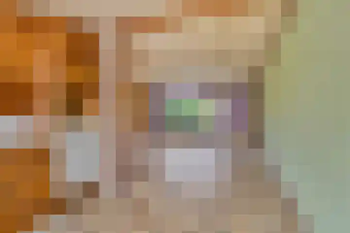 Rousselpad 19 Spijkenisse thumbnail 8