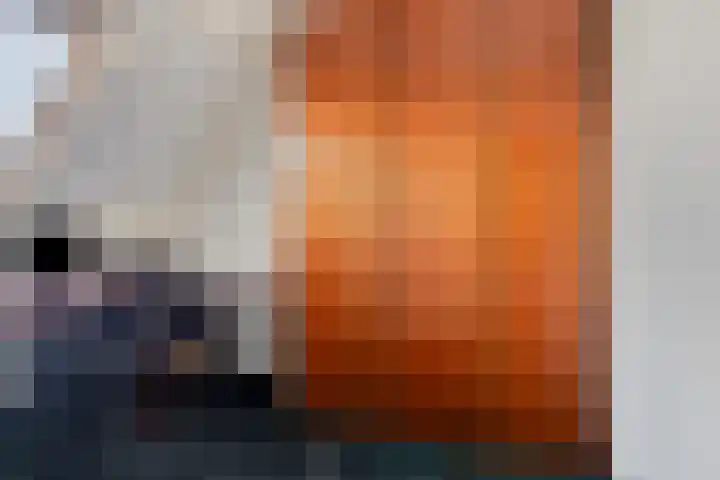 Rousselpad 4 Spijkenisse thumbnail 22
