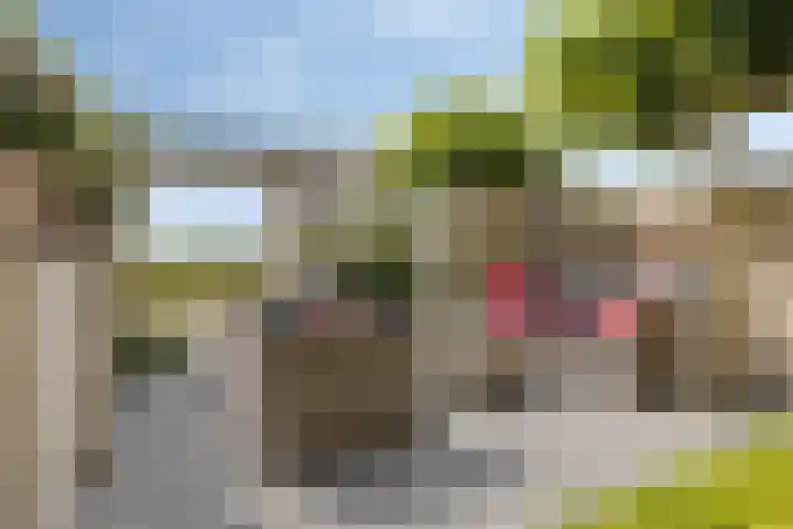 Rousselpad 4 Spijkenisse thumbnail 24