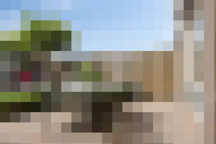 Rousselpad 4 Spijkenisse thumbnail 25