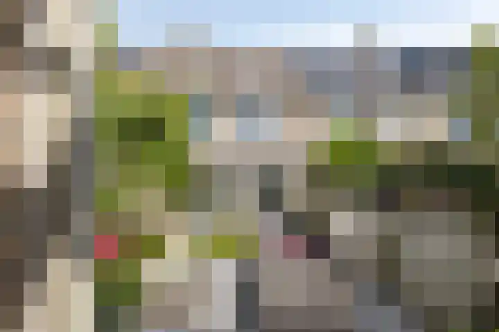 Rousselpad 4 Spijkenisse thumbnail 26