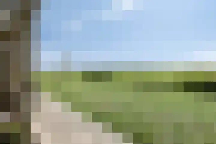 Rousselpad 4 Spijkenisse thumbnail 28