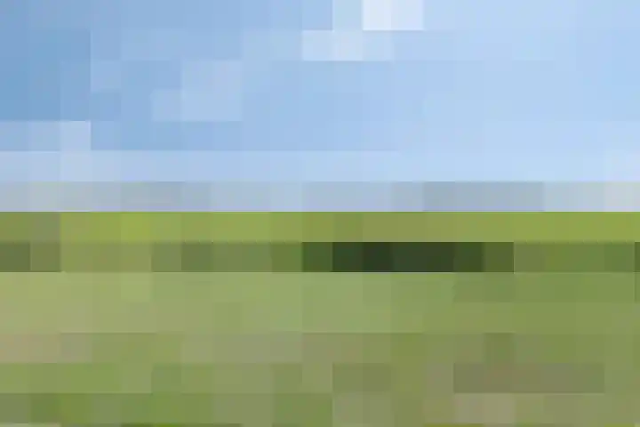 Rousselpad 4 Spijkenisse thumbnail 29
