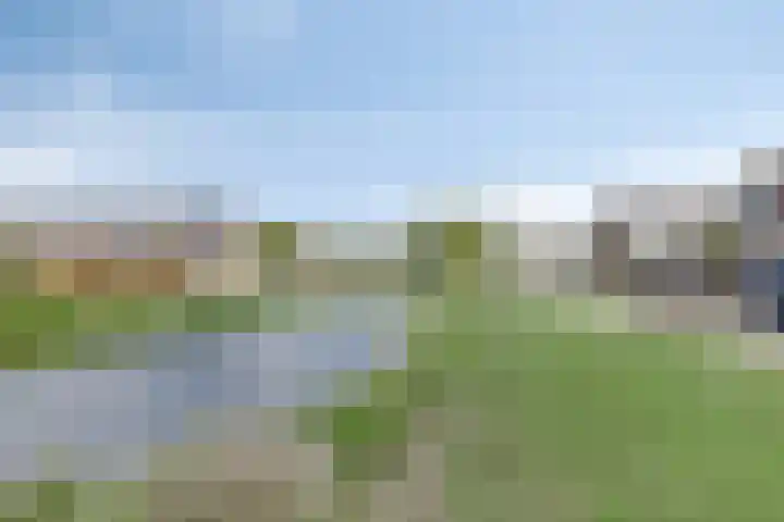 Rousselpad 4 Spijkenisse thumbnail 30