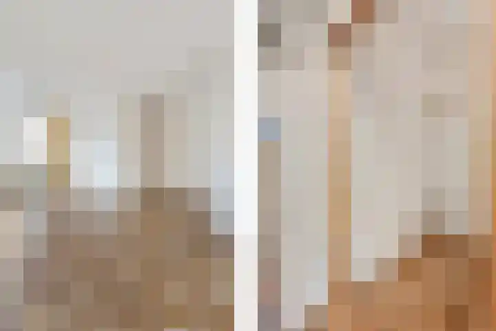 Roussillonhof 21 Eindhoven thumbnail 10