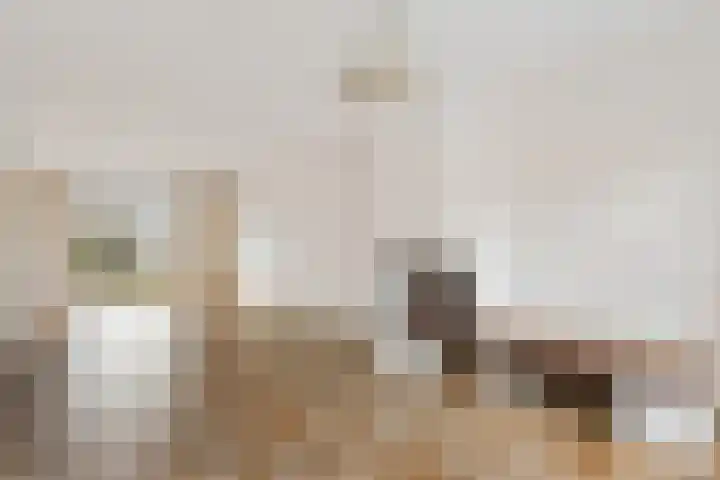 Roussillonhof 21 Eindhoven thumbnail 13