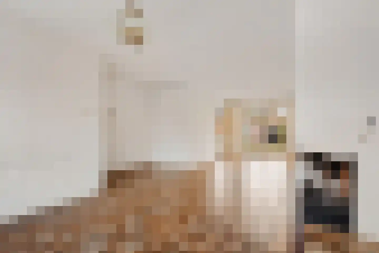 Roussillonhof 21 Eindhoven thumbnail 14