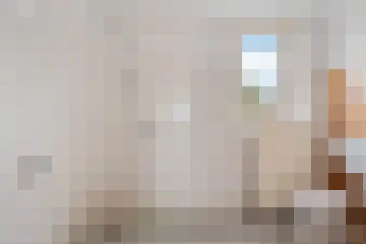 Roussillonhof 21 Eindhoven thumbnail 23