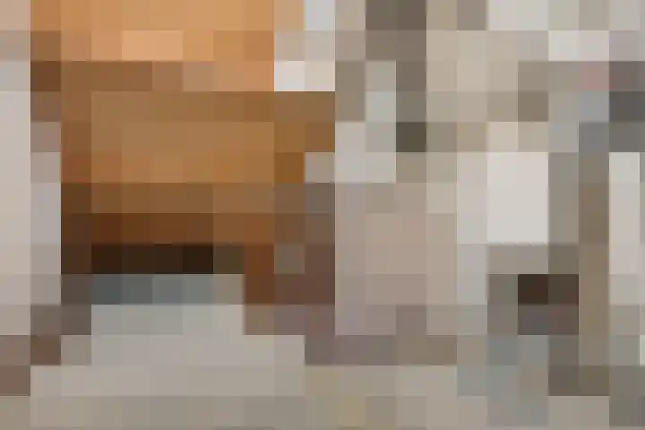 Roussillonhof 21 Eindhoven thumbnail 24