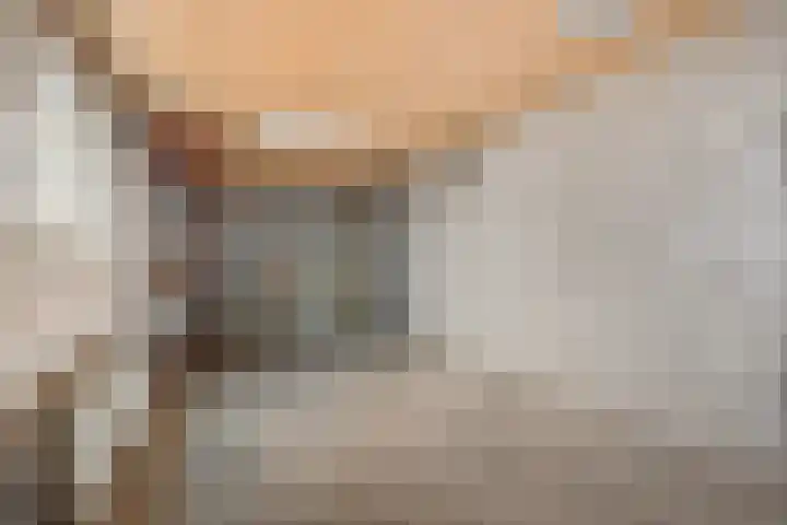 Roussillonhof 21 Eindhoven thumbnail 30