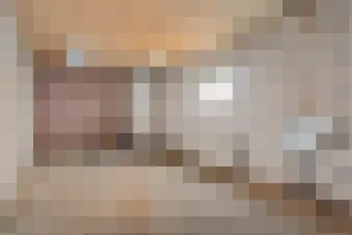 Roussillonhof 21 Eindhoven thumbnail 31