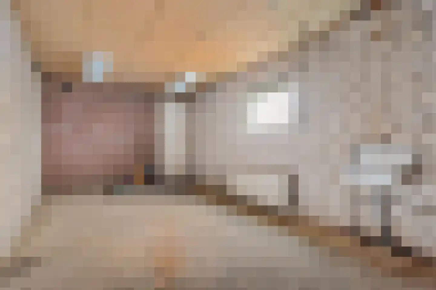 Roussillonhof 21 Eindhoven thumbnail 31