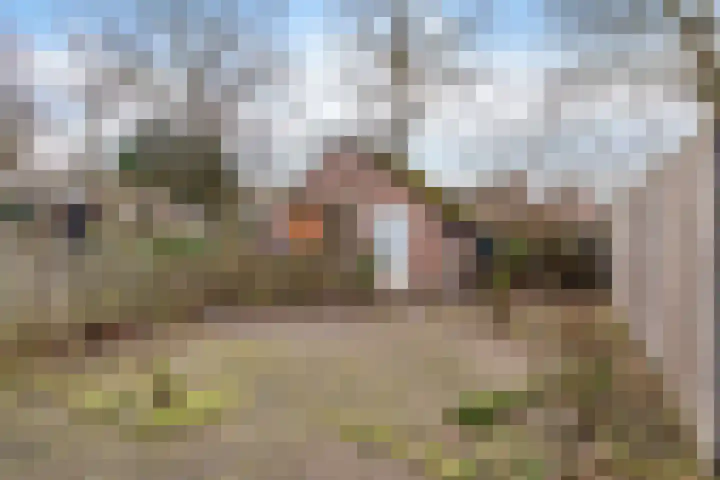 Roussillonhof 21 Eindhoven thumbnail 33