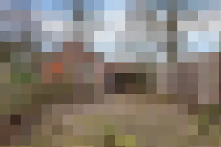 Roussillonhof 21 Eindhoven thumbnail 34