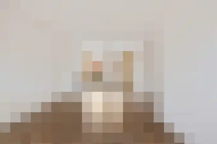 Roussillonhof 21 Eindhoven thumbnail 8
