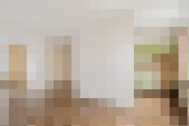 Roussillonhof 21 Eindhoven thumbnail 9