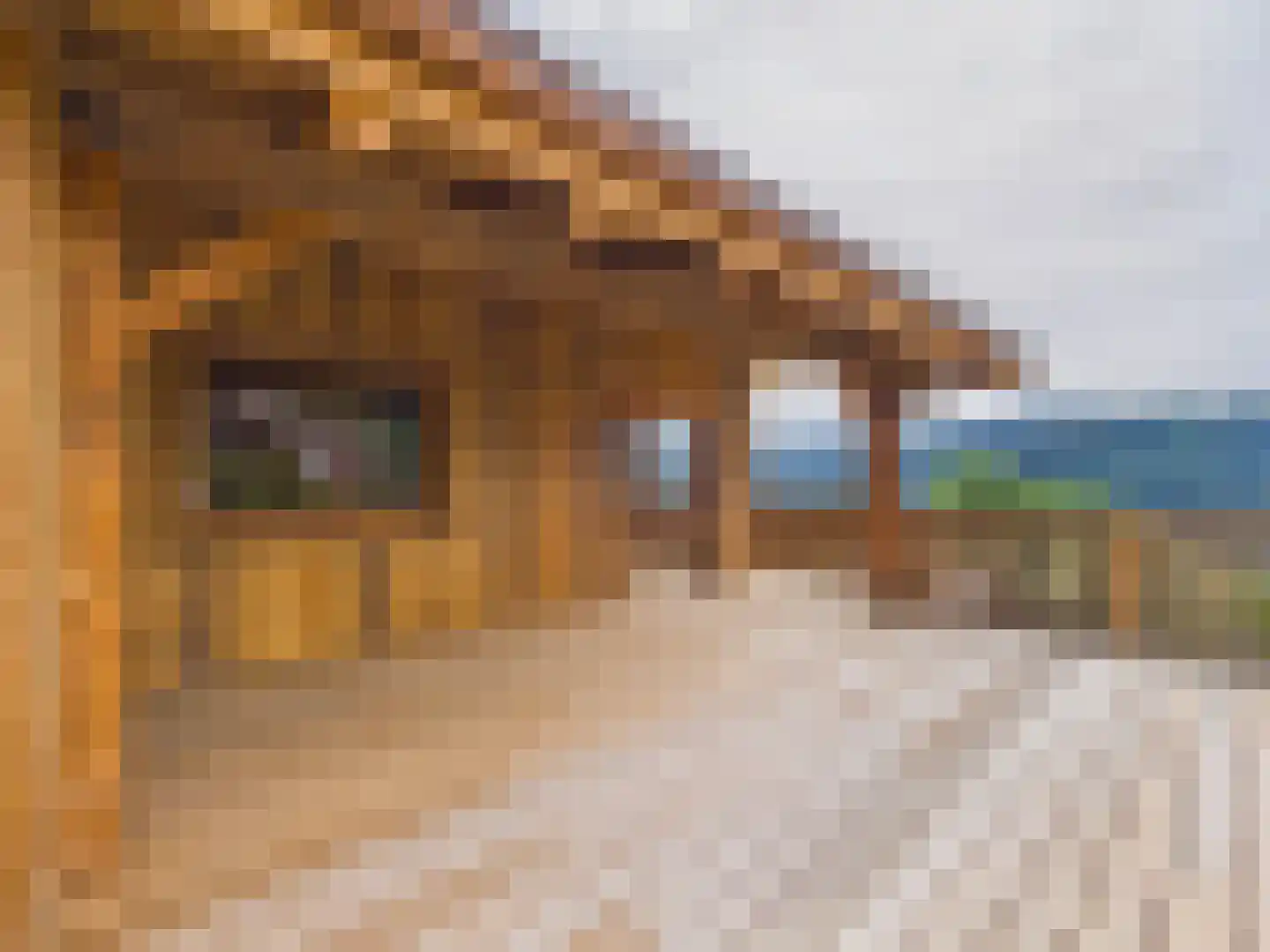 Route de Magy 1917 Heel thumbnail 6