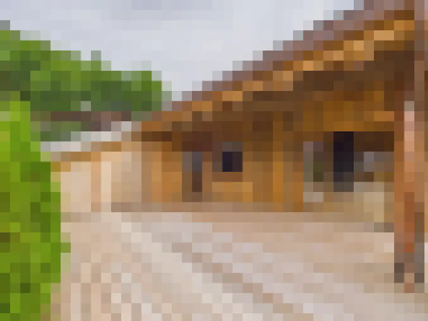 Route de Magy 1917 Heel thumbnail 7